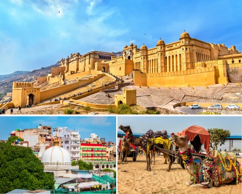 The Titanic Holidays